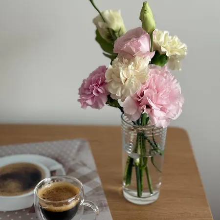 Apartment Stacja Kopernik Centrum *