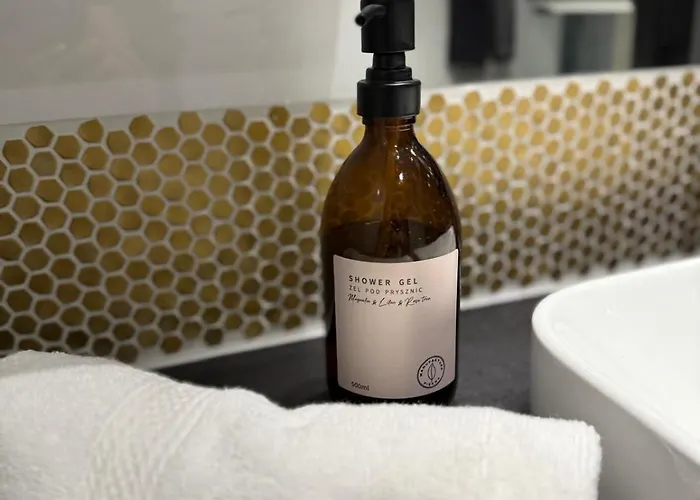 Stacja Kopernik Centrum צ'סטוצ'ובה